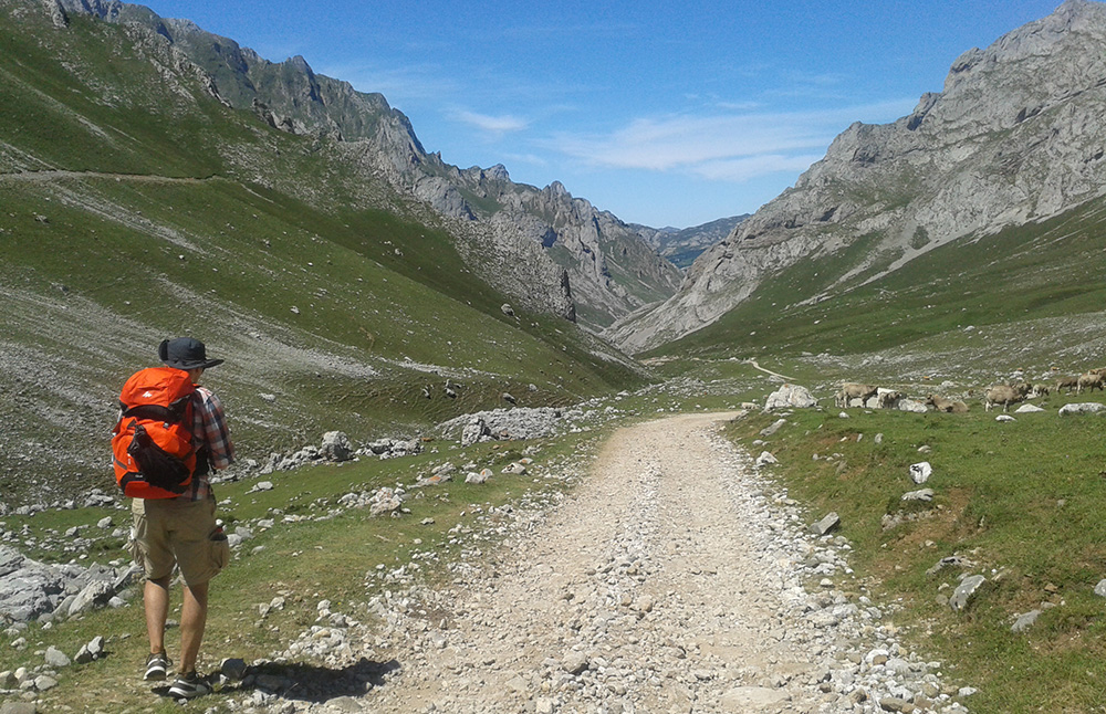 Camino de Santiago