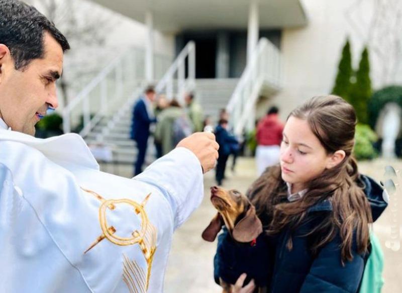 Bendición animales por San Antón colegios regnum christi